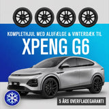 19'' komplethjul med vinterdæk til XPENG G6 fra GreenCarGear
