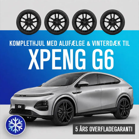 19'' komplethjul med vinterdæk til XPENG G6 fra GreenCarGear