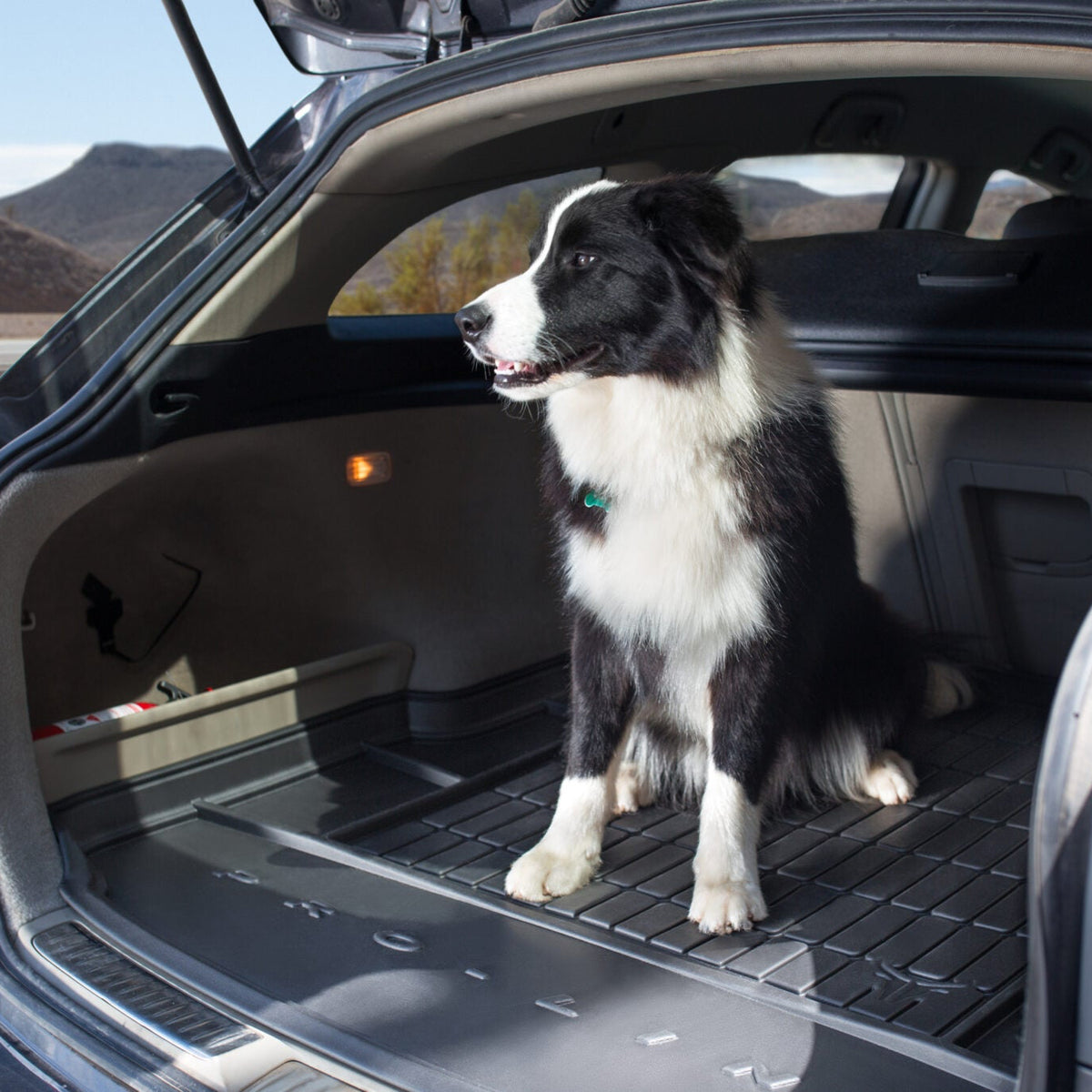 Hund sidder i bagagerummet på en Tesla Model Y med ProLine bagagerumsmåtte
