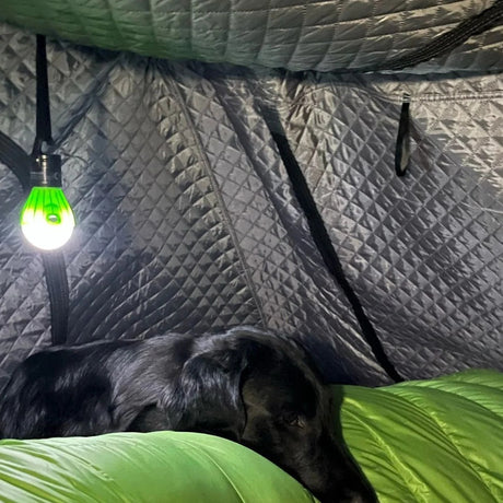 Moby Mountain Thermo indertelt monteret i Peak tagtelt med hund og soveposer – passer til Peak XL og Peak XXL