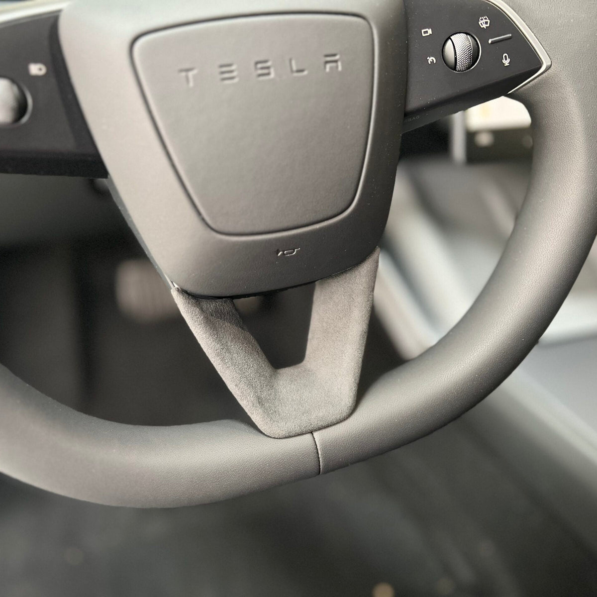 monteret rat beskytter i en tesla